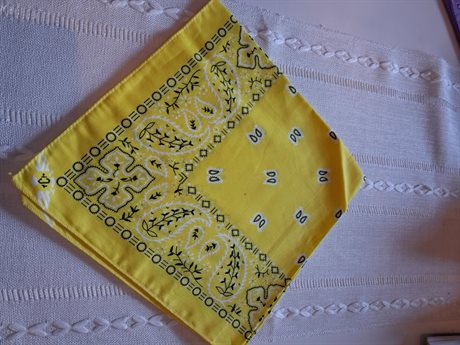 FYRKANTIG BANDANA