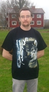 Varg vid björk