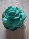 Hårblomma Cyan